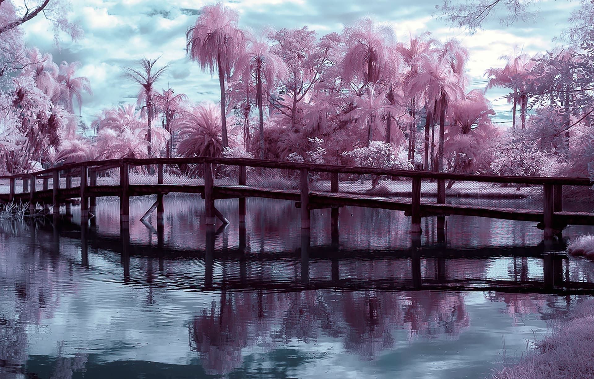 Jardim Botânico