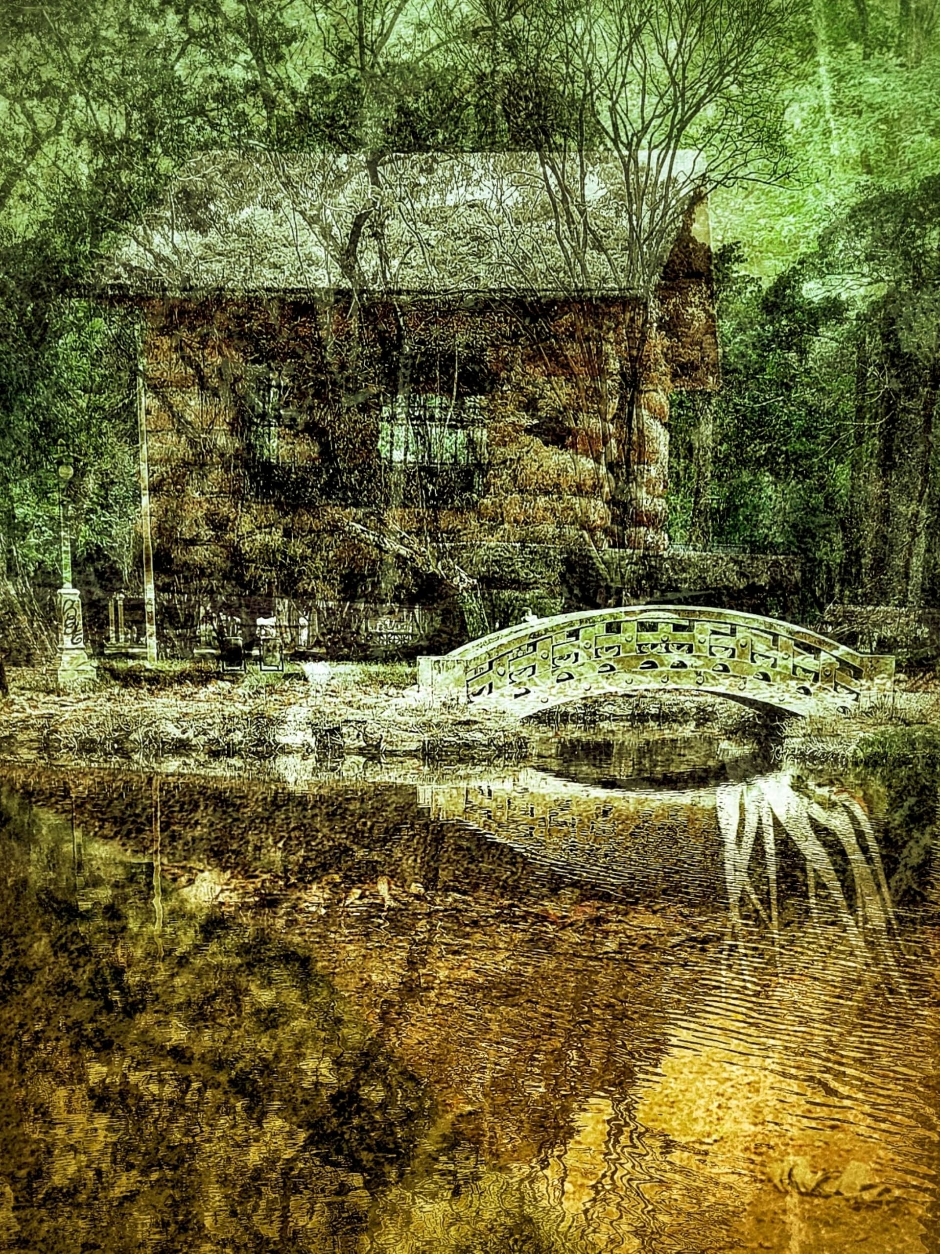 Floresta Encantada