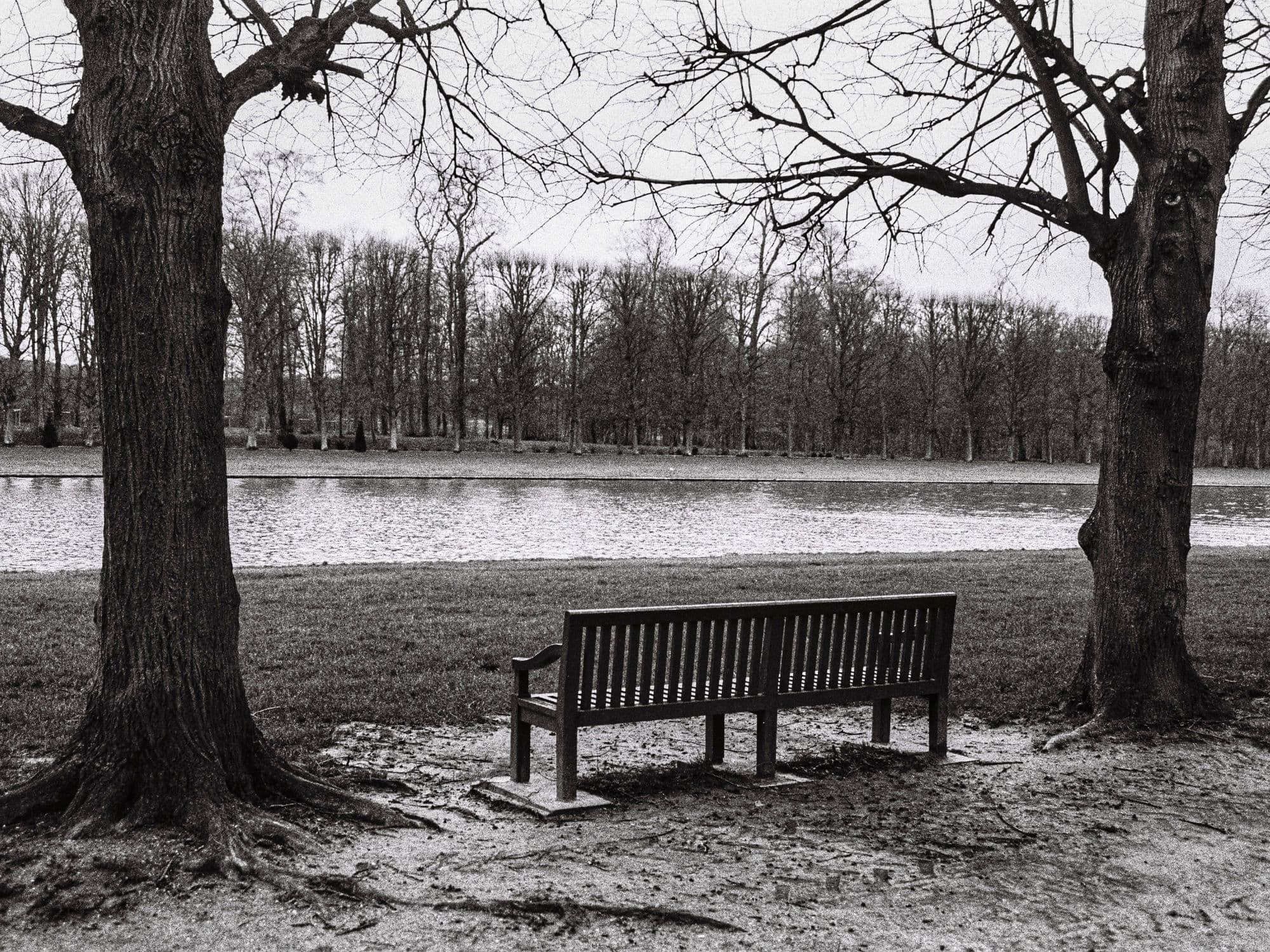 Solitude