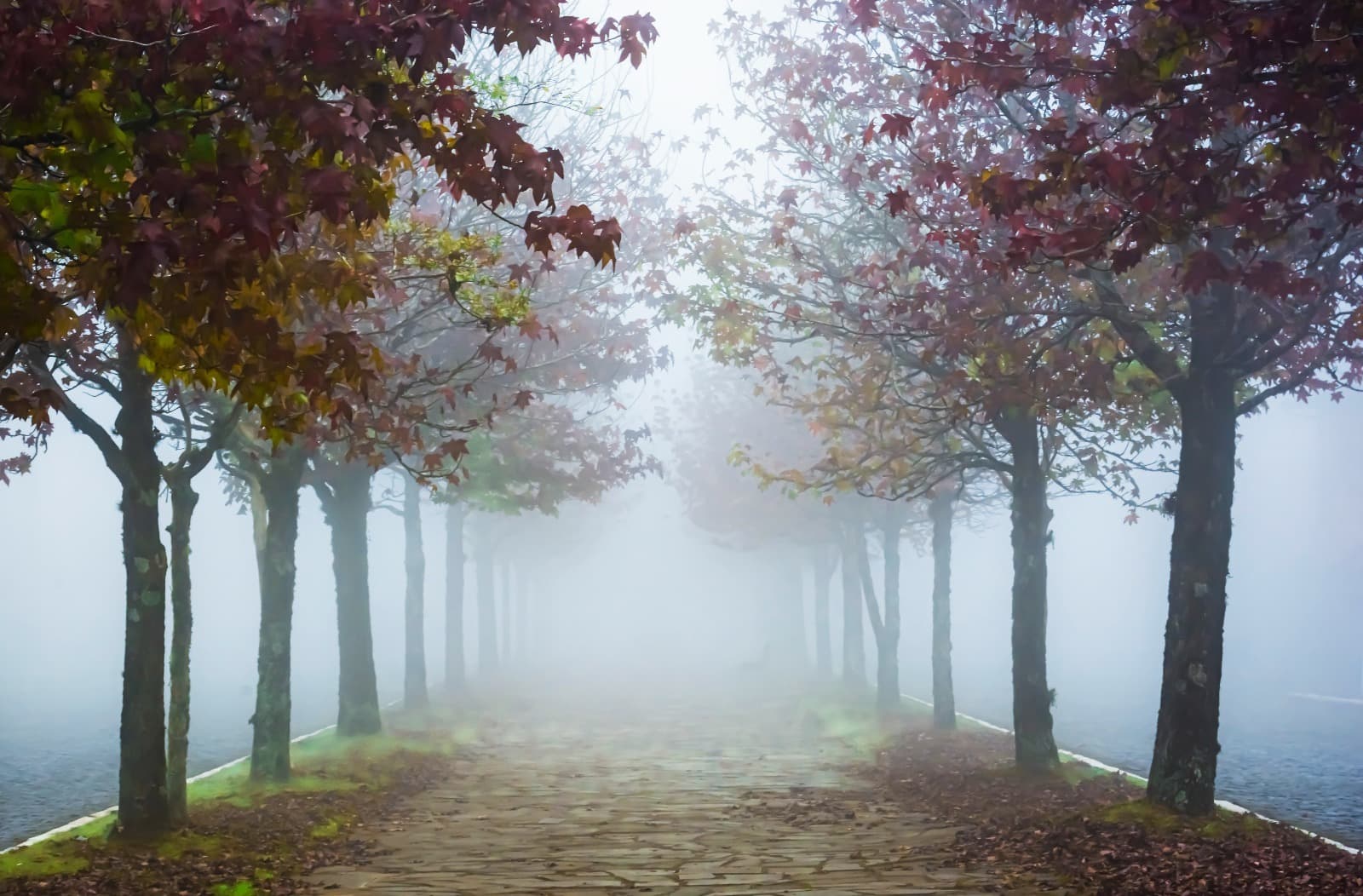 Neblina, São Francisco de Paula