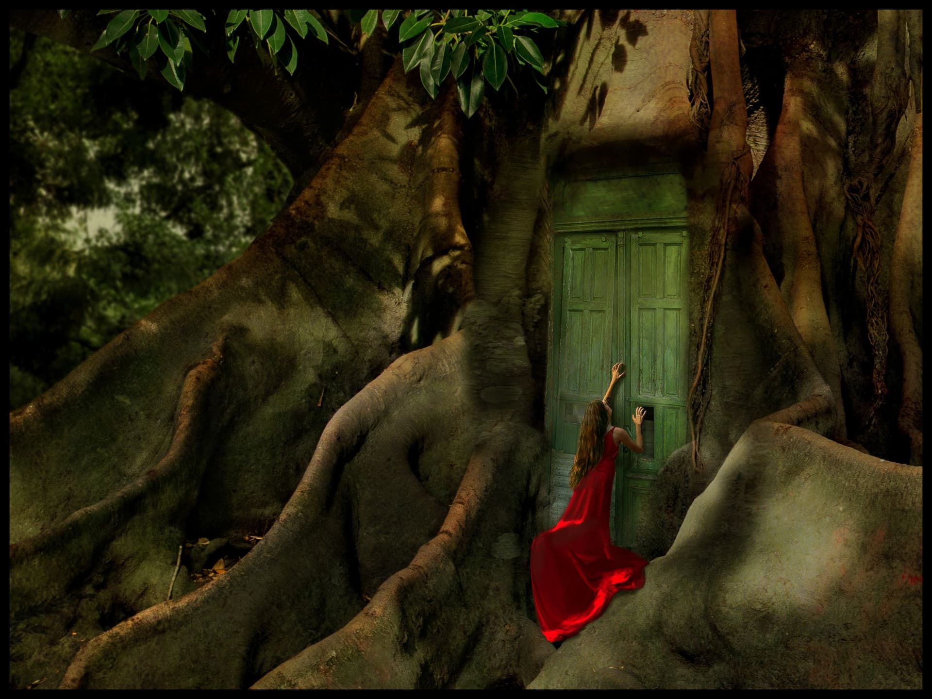 The secret door